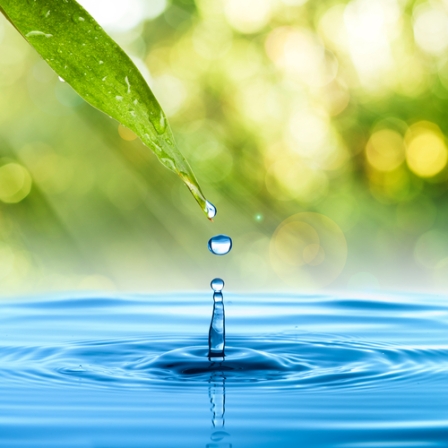 Canaletas increases 45% the exportation of water coolers and expands to new markets 