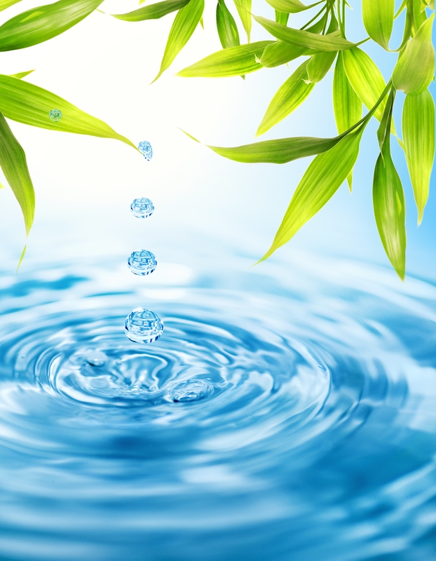 Bottled or tap water? 